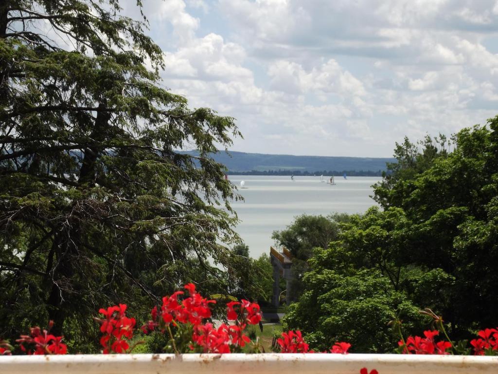 Sir David Balaton Castle Apartmanok Balatonszepezd Luaran gambar