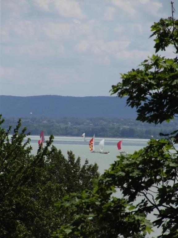 Sir David Balaton Castle Apartmanok Balatonszepezd Luaran gambar